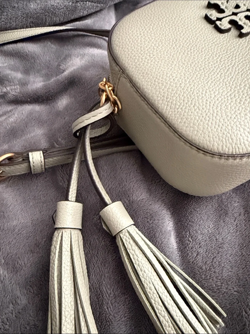 Tory Burch Light Green Leather Crossbody with Gold Hardware - Picture 5 of 5